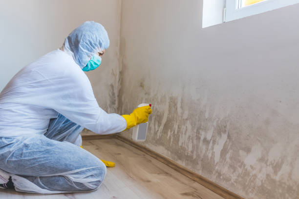 Licensed Mold Remediation service in Woodcliff Lake, NJ - 24 Hour Mold Removal