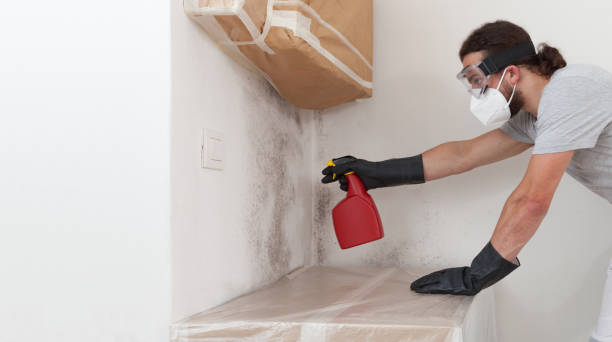 Professional Mold Remediation technician working in Woodcliff Lake, NJ