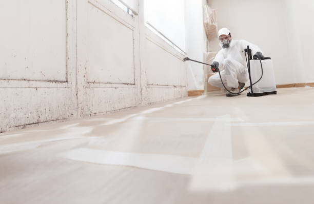 24/7 Emergency Mold Remediation experts in Woodcliff Lake, NJ