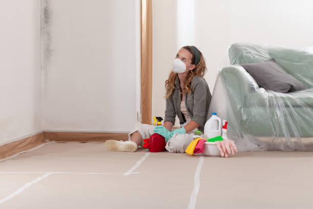 Reliable Mold Remediation contractor in Woodcliff Lake, NJ by 24 Hour Mold Removal