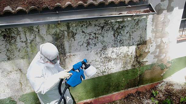 Top rated local Mold Remediation specialists in Woodcliff Lake, NJ